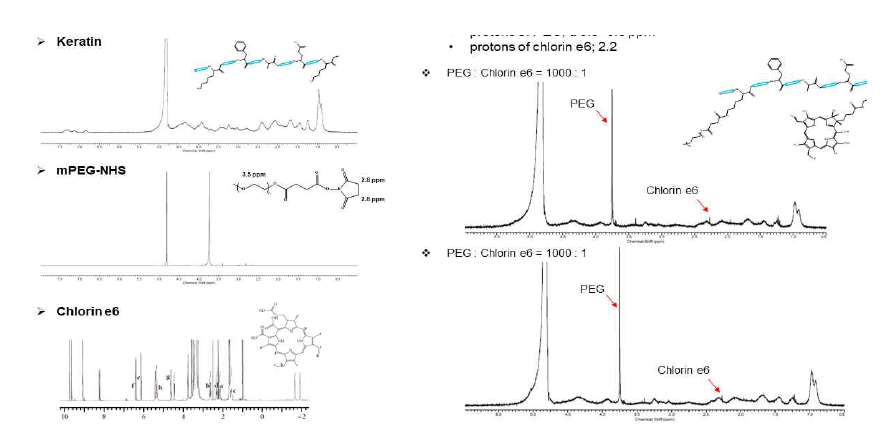 광활성 injectable 케라틴 나노젤의 구조적 특성 분석 (NMR data)
