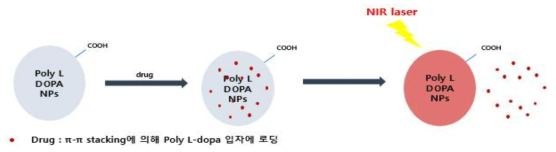 멀티 기능 약물 전달체 시스템의 도식화