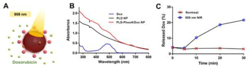 A) NIR에 의한 PLD-PheoA/Dox NPs로부터 Dox 방출 모식도 B) Dox, PLD NPs, PLD-PheoA/Dox NP의 UV-vis 스펙트럼 C) PLD-PheoA/Dox NPs로부터 NIR 조사시간에 따른 누적 Dox 방출량