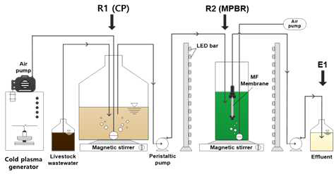 저온플라즈마 전처리 도입을 통한 고탁도 축산폐수 처리와 미세조류 배양이 가능한 연계형 시스템 모식도
