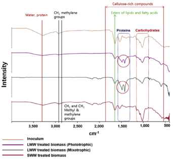FT-IR을 이용한 Inoculum 및 가축분뇨처리 biomass에서의 SMP, EPS 분석