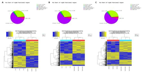 Pie Chart of significant CpGs’s functional region & plotted a heat map of hierarchical clustering (A) Ag vs. Y (B) AgEE vs. Y (C) AgEE vs. Ag. Filtering criteria: |Δm| >= 0.2 & raw p-value < 0.05