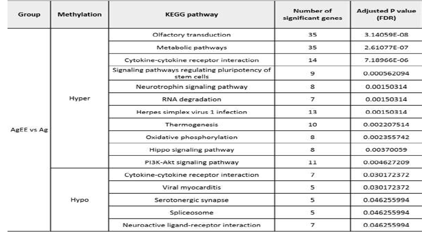 Significant KEGG pathways of differently methylated promoters in the AgEE vs Ag