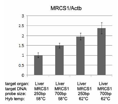 RNA 프로브 크기 및 상보결합 온도 조절에 따른 MRCS1(Shh 인핸서) DNA 획득량을 보여주는 표