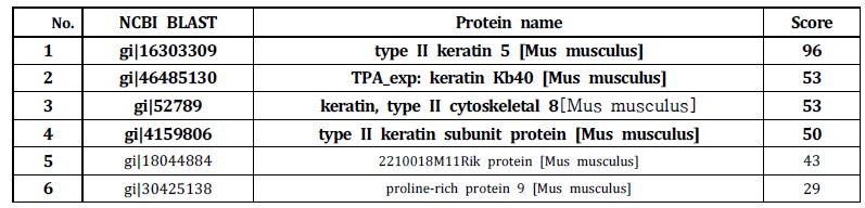 발생 중인 마우스 배아(수정 후 14일)의 구강 내 세포 2 x 107개의 세포를 이용하여 실험을 진행한 후, Mass spectrometry에 의해 검출된 단백질 종류. Individual proteins scores > 48 indicate identity or extensive homology (p < 0.05)