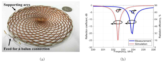 (a) 제안된 자기 다이폴 안테나의 제작 prototype 및 (b) 측정 결과