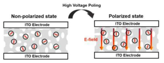 폴링에 의한 자발 분극 유도