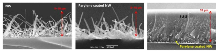 나노선의 파릴렌 및 SU-8 코팅 단면 SEM 이미지 분석