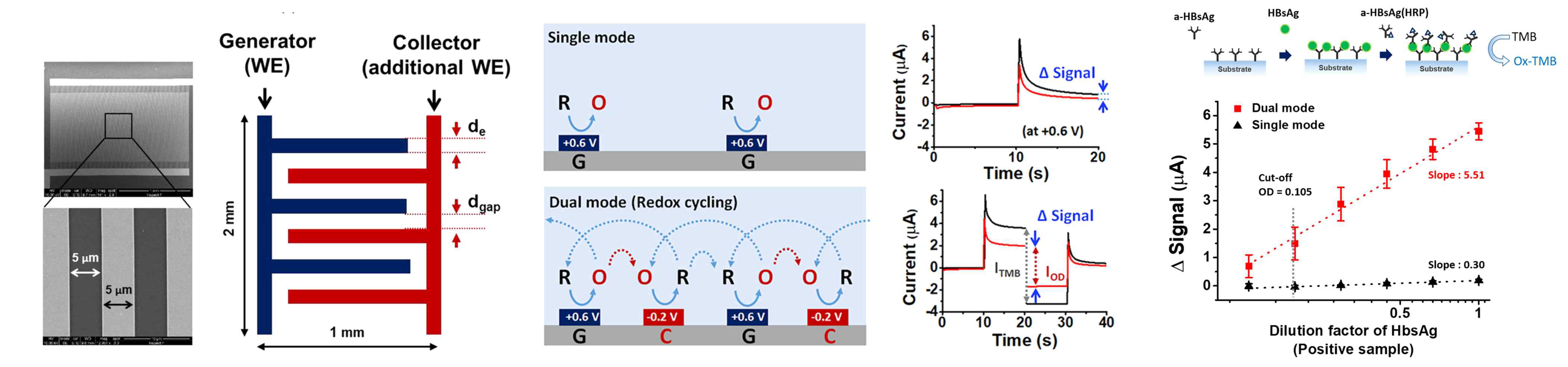 IDE 전극 (좌) Redox cycling 방법을 이용한 산화환원신호증폭 (중). B형간염 ELISA kit를 이용한 이뮤노어세이 분석(우)
