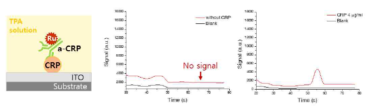 CRP 염증단백질 타겟 분석을 위한 이뮤노어세이 모식도(좌) CRP 단백질 여부에 발광 신호 분석(중,우)