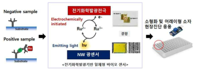 인플루엔자 현장진단용 전기화학발광기반 일체형 바이오 센서