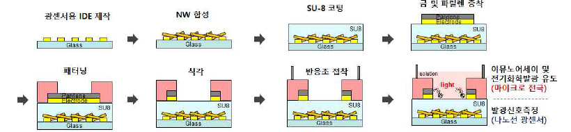 나노선 광센서와 전기화학발광용 마이크로전극을 결합한 일체형 바이오 센서 제작