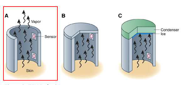 A, B, C 세 종류의 TELW 측정 방법 중에서 본 연구에서 사용된 측정 센서는 A에 해당함. 즉, high & low 센서가 모두 존재해서 측정 드럼의 뚜껑을 닫지 않아도 됨으로써, 실체 신생아의 피부에서 증발 소실되는 수분을 직접적인 측정이 가능 함