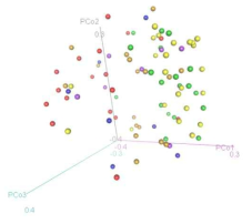 β-diversity- 3D PCoA Plot (based-OTUs)