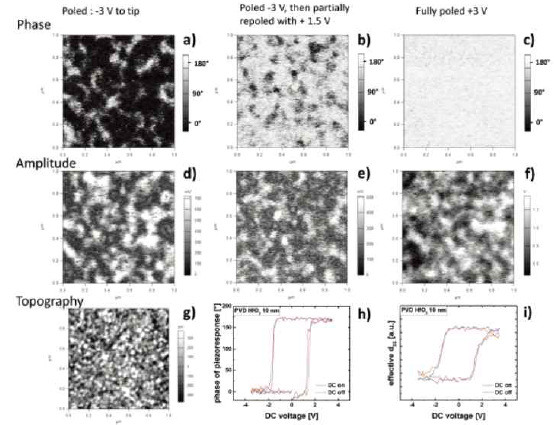 a–i) PFM image (phase/amplitude/topography) of MIM capacitor with 10 nm HfO2, measured on a Pt/TiN top electrode. a,d) Poled with −3 V on tip; b,e) poled at −3 V, then partially repoled with +1.5 V; c,f) fully poled with +3 V on tip. The domains are completely switchable in the positive direction. PFM images extracted from a MIM capacitor with 10 nm HfO2 and measured on a TiN electrode without precycling. Domains do not backswitch completely after application of −3 V to the top electrode with 26% white regions. h) Phase change of 180° on one spot on the surface. i) Loop of effective d33