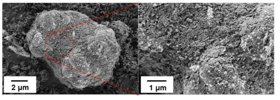 기계-화학적 복합화 공정을 통해 제조된 금속/나노 탄소 복합소재의 SEM 사진