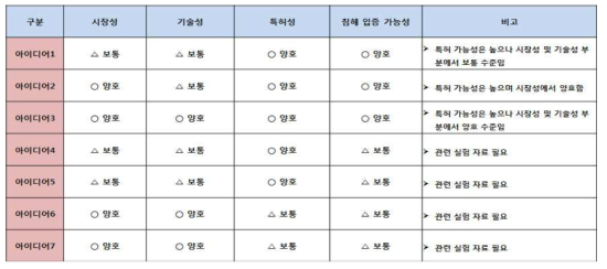 아이디어 정밀 평가