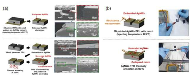 (a) 제안된 복합인쇄법을 활용한 반함침 전도성 구조체와 단순인쇄법에 반함침 구조를 인가하기 위한 열처리 이후 전자현미경 비교 사진 (b) 복합인쇄법을 활용한 경우 전극 패터닝에 따른 전극간 단락이 유지되는데 반하여, 열처리된 단순인쇄법 구조체의 경우, 전극간 쇼트가 발생