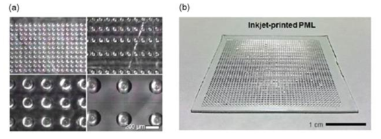 (a) 잉크젯 프린팅 공정을 이용하여 PDMS 기판상에 광경화성 하드 구조체 (ETPTA)를 도입한 결과 (b) 고해상도 도트 어레이가 도입된 대면적 이종접합 구조
