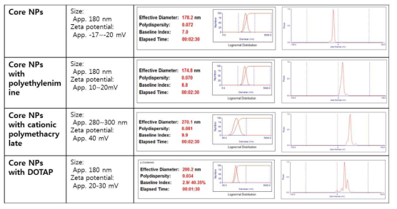 코어 나노입자 물리화학적 특성 평가