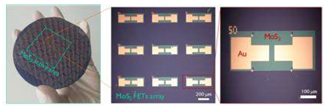 2인치 크기를 가지는 2D-MoS2 TFT array