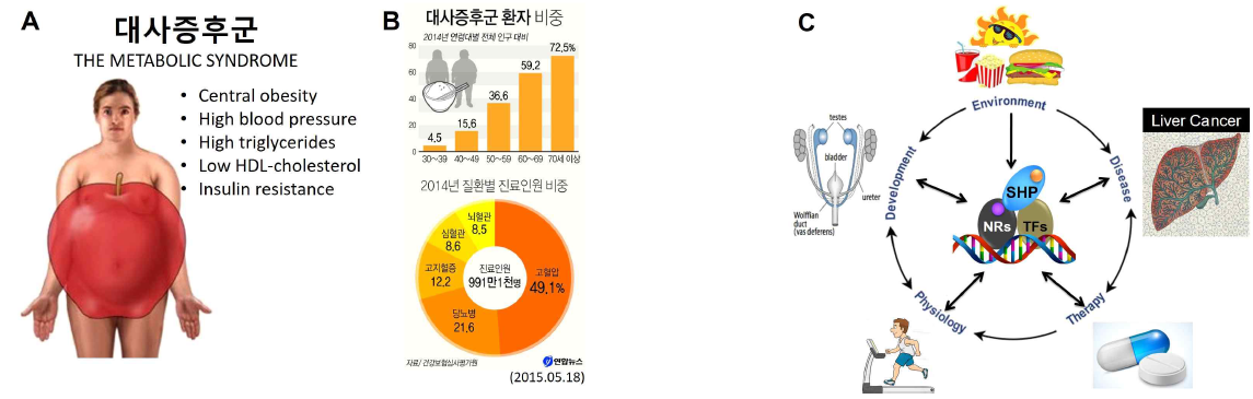 대사증후군의 심각성 및 핵수용체 SHP 연구의 중요성. A. 현대인의 서구화된 식생활 습관, 운동부족, 각종 환경 및 유전적인 요인에 의해 대사증후군 비율이 급증하고 있음. 만성화된 대사증후군의 진단은 그림에서 제시한 5개의 증상 (복부비만, 고혈압, 고중성지방, 낮은 HDL 콜레스테롤, 인슐린 저항성) 중 3개 이상인 경우 해당됨. B. 급상승중인 한국인의 연령대별 대사증후군 발병율. 건강보험심사평가원 (심평원)의 2010~2014년 심사결정 자료를 보면, 대사증후군의 작년 진료인원은 991만1천명으로 2010년 850만5천명보다 16.5% 늘었다. (심평원 자료를 바탕으로 한 연합뉴스 기사). C. 핵수용체 SHP 연구의 중요성. 인간에 존재하는 48개의 핵수용체중 DNA-binding domain (DBD)가 없는 핵수용체 2개중 하나이며, 간을 포함한 대사조직에서 주로 발현됨. 내외부적 환경 변화에 따른 핵수용체 SHP의 리간드의 생성은 아직 알려져 있지 않으며, 핵수용체 SHP은 주로 transcriptional corepressor로써 작용함. 이것은 다시 genome의 전사조절에 영향을 미칠 수 있기 때문에 핵수용체는 환경과 genome 사이의 접점에 있으면서 메신저 역할을 수행함. 핵수용체는 세포의 발생, 증식, 분화 및 생리적 항상성 유지에 매우 중요한 역할을 하며, 각종 질병 치료를 위한 유용한 표적 단백질로써의 기능도 함. 특히, 다양한 대사 관련 질환 치료에 있어 핵수용체 SHP의 역할 및 기능 연구는 매우 중요한 과제임. NRs, nuclear receptors; TFs, transcription factors