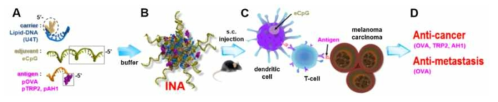 항원(pOVA, pTRP2, pAH1)과 면역보조제 (eCpG)가 동시에 전달되는 지질DNA 나노입자 (INA)의 제법(A-B) 및 면역세포 기작 메커니즘 개략도(C) 및 보고 결과(D)