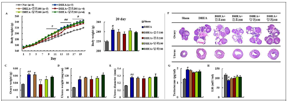 PCOS 동물모델에서 감초와 당귀의 효능 검증. A와 B, 체중; C, 난소무게; D, 자궁무게; E, 자궁의 직경; F, 난소와 자궁의 조직병리학적 소견; G, 혈청 테스토스테론의 양; H, 혈청 황체호르몬의 양. (ANOVA test; #<0.05, ##P<0.01 vs sham group; *P<0.05, **P<0.01 vs PCOS group)