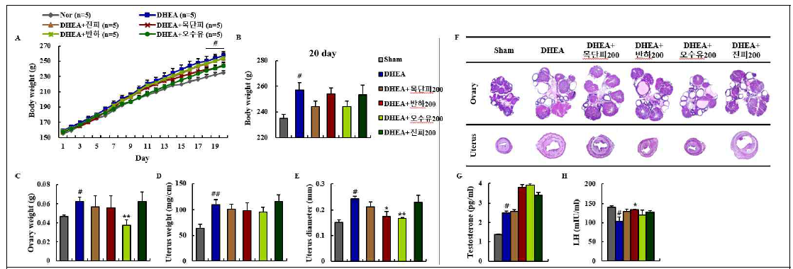PCOS 동물모델에서 목단피, 반하, 오수유 및 진피의 효능 검증. A와 B, 체중; C, 난소무게; D, 자궁무게; E, 자궁의 직경; F, 난소와 자궁의 조직병리학적 소견; G, 혈청 테스토스테론의 양; H, 혈청 황체호르몬의 양. (ANOVA test; #<0.05, ##P<0.01 vs sham group; *P<0.05, **P<0.01 vs PCOS group)