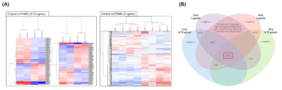 PHMG-P로 인한 miRNA 발현변화 (A) microarray (B) miR-6126의 발현증가