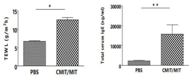 CMIT/MIT 노출에 따른 TEWL 및 혈청 내 총 IgE 농도 변화