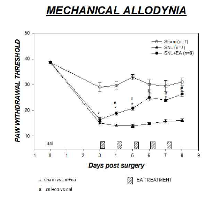 신경병증성 통증 쥐 모델에서 전침처치 후 기계적 이질통 개선됨. #p<0.05, SNL vs SNL+EA. ░: 전침처치. Sham: 피부절개 후 봉합. SNL: SNL 수술군, SNL+EA: SNL 수술 후 족삼리 및 양릉천 경혈에 전침 처치함