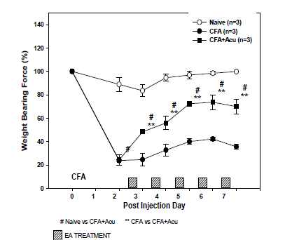 CFA 유도 무릎관절염 쥐 모델에서 전침처치 후 동측(ipsilateral side) 하지의 하중 개선됨. **p<0.05, CFA vs CFA+Acu. ░: 전침처치, Naive: 정상군, CFA: CFA 유도 무릎관절염 군, CFA+Acu: 무릎관관절염 유도 후 전침 처치함