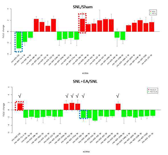 SNL모델에서 증감의 변화가 있는 24개 miRNA(cut-off: 절대값 1.0 이상). √:표 1에서 제시된 6개의 miRNAs (cut-off: 증감율 절대값 2.0 이상)