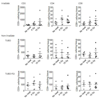 종양 내 면역세포 확인. 방사선 조사 방식에 따른 1차 종양과 방사선 조사를 받지 않은 2차 종양 내의 면역 세포 표현형 확인. T 세포의 표면에 발현된 단백질 CD3, CD4, CD8을 형광 표지 항체를 사용하여 분리함. 위에서부터 1차 종양, TUBO 2차 종양, TUBO-P2J 2차 종양 내 면역세포 비율을 그래프로 나타냄
