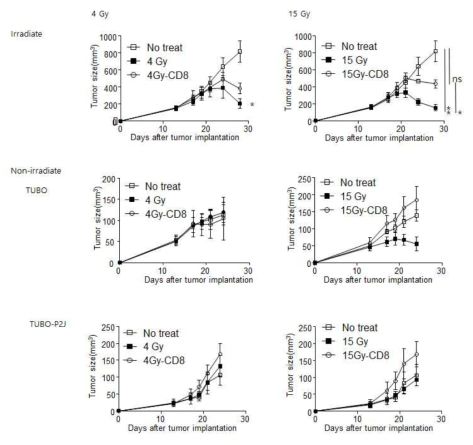 면역 세포 유무에 따른 abscopal effect 유발 확인. CD8α+ T 세포 유무와 방사선 조사 방식에 따른 1차 종양과 방사선 조사를 받지 않은 2차 종양의 크기 변화 확인. 1차 종양(위), 2차 TUBO 종양(중앙), 2차 TUBO-P2J 종양(아래)의 크기 변화 그래프