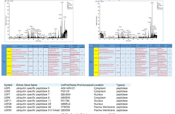 KLF4 interactome 결과