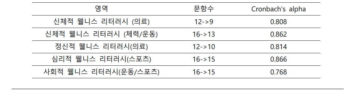 웰니스 리터러시 측정도구 문항내적 일치도