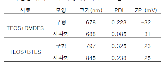 TEM으로 확인한 입자 크기 특성 및 제타 포텐셜