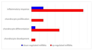 정상연골환자군 대비 골관절염환자 연골조직에서 1.5배 이상의 발현차이를 보이는 miRNA분류(연골세포의 분화, 발달, 성장과 관련한 인자를 표적하는 miRNA 및 염증반응 매개성 인자를 표적하는 miRNA의 발현 양상)