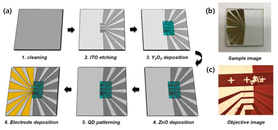 (a) 다색 양자점 기반의 광검출 소자의 다중배열 공정 순서도, (b) 제작된 소자와 (c) 현미경 이미지