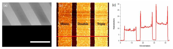 적층된 양자점의 (a) SEM, (b) AFM image와 (c) depth profile