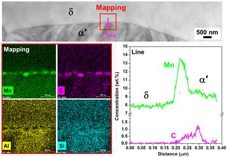 델타 페라이트 결정립계의 TEM-EDXS 결과