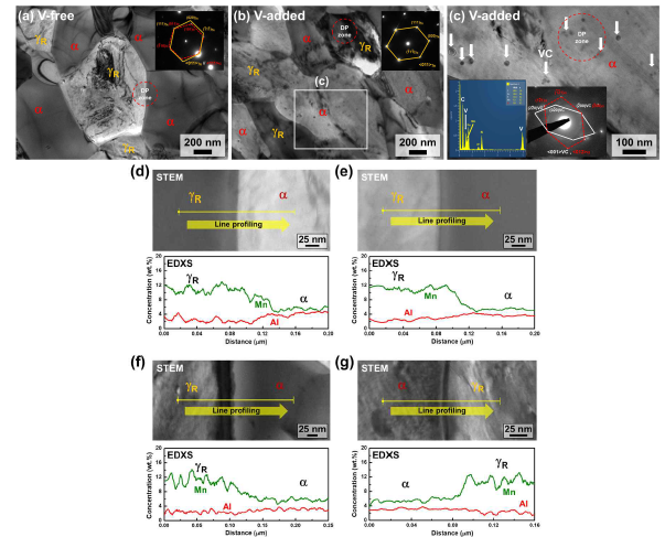 (a, d, e) V 미첨가강 및 (b, c, f, g) V첨가강의 TEM & STEM 분석