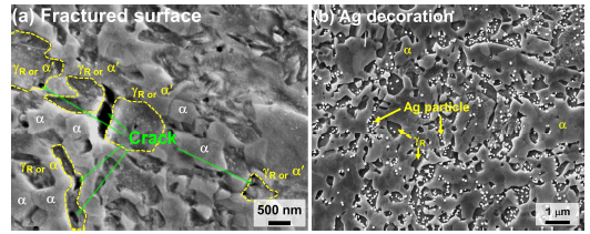 (a) 파단 된 시편 및 (b) Ag deco된 시편의 SEM사진