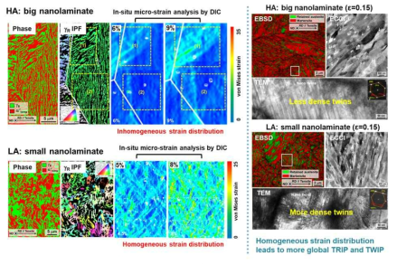 LA 및 HA 시편의 소성 변형 도중 미소 변형률 분석 및 변형된 시편의 EBSD-TEM-ECCI 분석