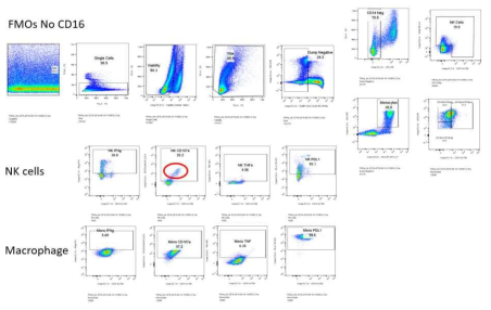 Gating strategy for NK cells and Monocytes