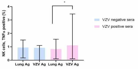 TNFa positive NK cells with VZV negative or positive sera