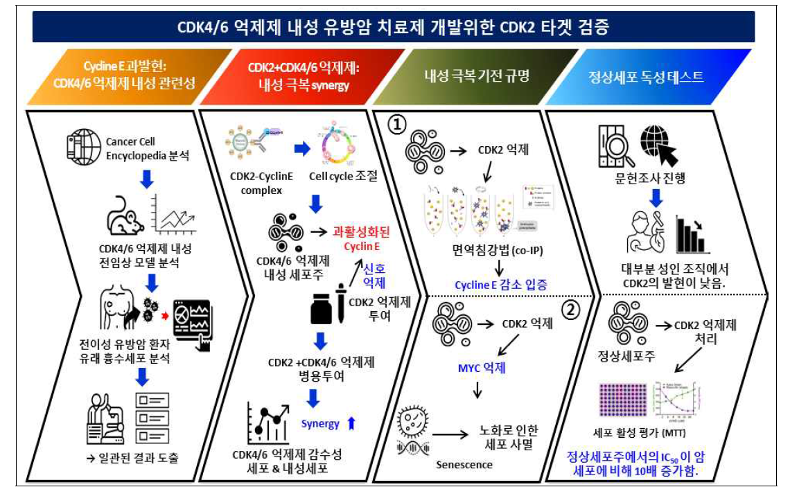 연구결과 요약도