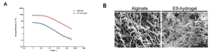 난포의 삼차원 체외배양에 사용된 생체재료의 (A) 저장 탄성률 및 (B) 전자 현미경 관찰 사진